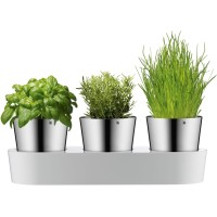 WMF 0641306040 Indoor Pot planter Freestanding Stainless steel