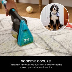 Shark CarpetXpert HairPro Pet Deep Carpet Cleaner with Built-In StainStriker EX300UK - Shark Products