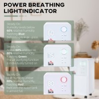 HOMCOM 12L/Deshumidificador de día | Silencioso 38dB, 4 Modos, Temporizador