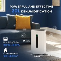 HOMCOM 20L/Dag affugter med luftrenser | 6.5L Tank
