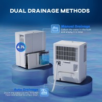 HOMCOM 30L/Déshumidificateur de jour | Séchage du linge, 40–80m² — Blanc