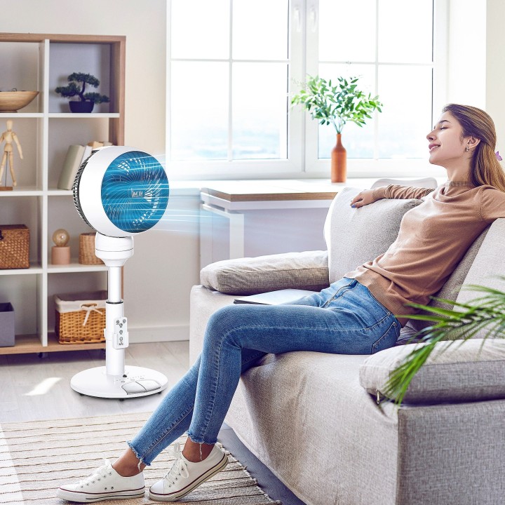 HOMCOM 9 Inch Air Circulator Fan with Remote