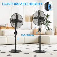 HOMCOM 41 cm Metal Pedestal Fan med Oscillating, Justerbar Højde Sort