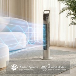 HOMCOM Tornfläkt Oscillerande 3 Hastigheter 3 Vindar 40W m/ Fjärrkontroll Timer Tyst - Grå