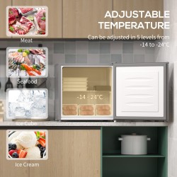 HOMCOM 35L Mini Congelatore, -24℃ a -14℃ Temperatura - Grigio