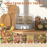 HOMCOM 5-Tier Food Dehydrator | 245W, Justerbar temp — Grå