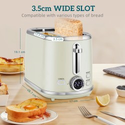 HOMCOM Retrò Lucidato 40-100°Set Bollitore e Tostapane C - Grigio