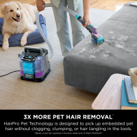 Shark StainStriker HairPro Limpiador de manchas y manchas para mascotas PX250UKT | Pequeño Lujo