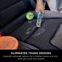 Shark StainStriker HairPro Limpiador de manchas y manchas para mascotas PX250UKT | Pequeño Lujo