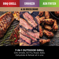Ninja Woodfire Electric BBQ Grill & Smoker OG701UK