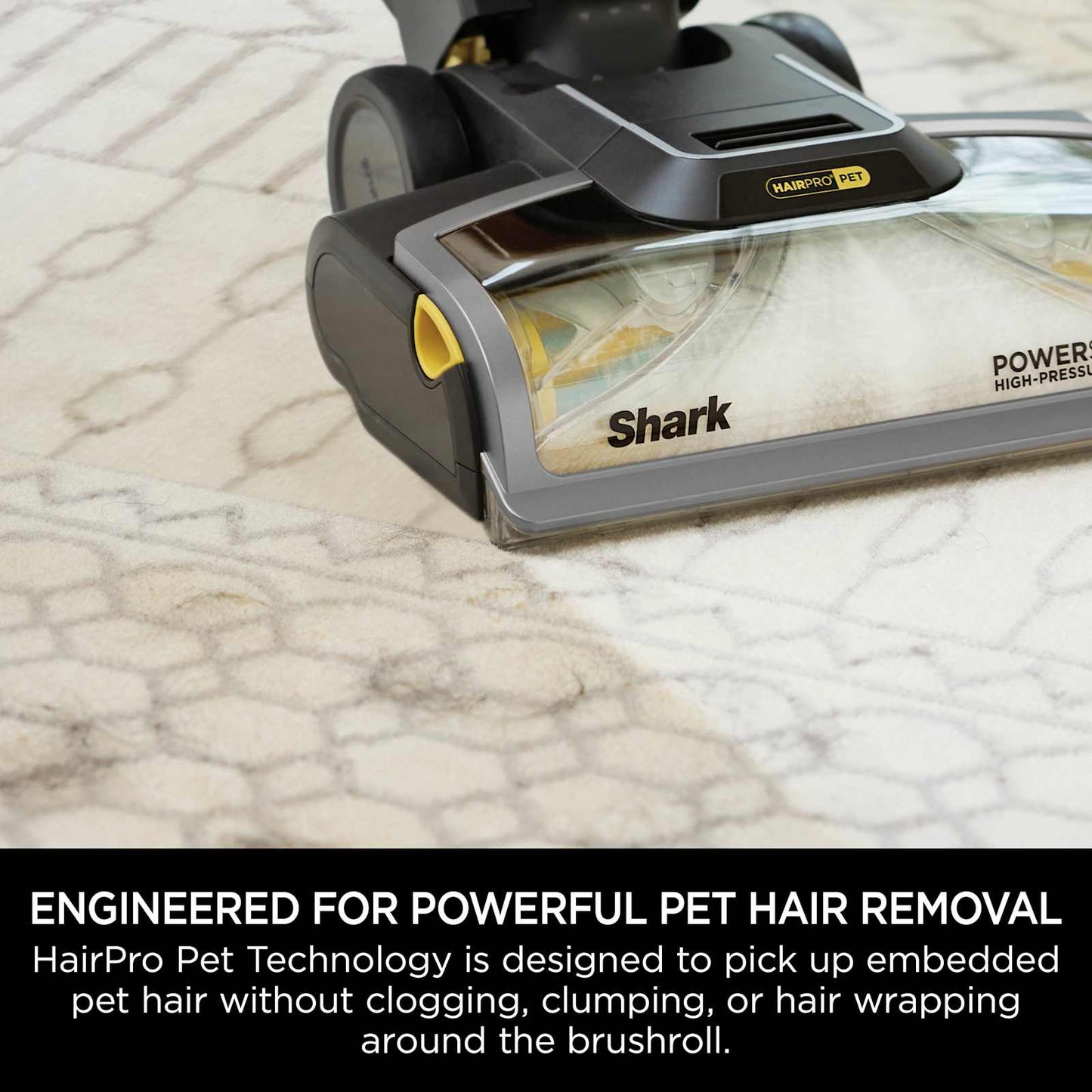 SharkNinja CarpetXpert HairPro Pet Deep Carpet Cleaner EX300UK — Black